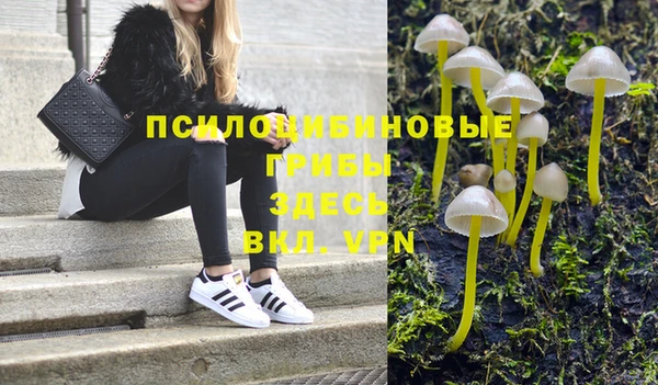 спайс Алексин